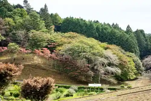 零羊崎神社(宮城県)