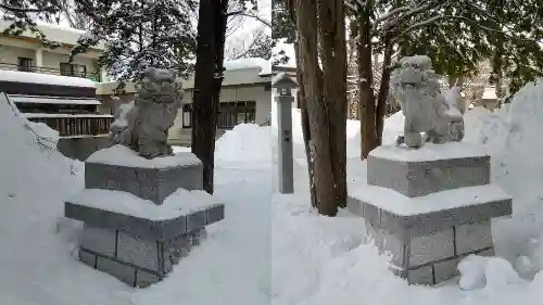 新琴似神社の狛犬