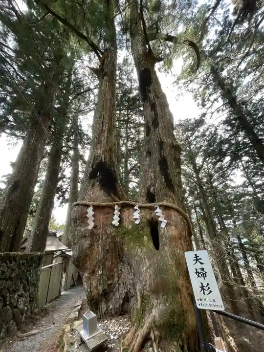 玉置神社の{uncategorized: "未分類", other: "その他", undefined: "問題あり", building: "その他建物", grave: "お墓", sacred_gate: "鳥居", guardian: "狛犬", statue: "像", buddha: "仏像", history: "歴史", nature: "自然", garden: "庭園", animal: "動物", pagoda: "塔", temizu: "手水舎", mountain_gate: "山門・神門", sanctuary: "本殿・本堂", subordinate: "末社・摂社", art: "芸術", scenery: "景色", jizo: "地蔵", ema: "絵馬", goshuin: "御朱印", omikuji: "おみくじ", items: "授与品その他", amulet: "お守り", goshuincho: "御朱印帳", eats: "食事", festival: "お祭り", votive_dance: "神楽", shichigosan: "七五三参", wedding: "結婚式", experience: "体験その他", initially: "初詣", around: "周辺", anti_infection: "感染症対策"}