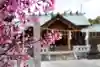 石濱神社の自然
