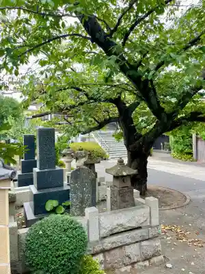 延台寺(神奈川県)