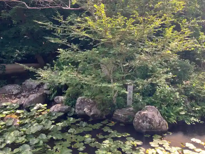 當麻寺中之坊(奈良県)