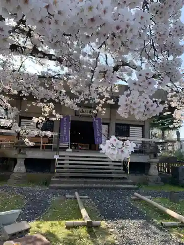 妙経寺の本殿・本堂