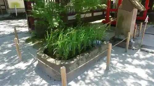 鹿児島神社(鹿児島県)
