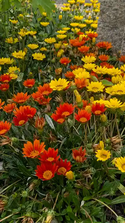 大松禅寺(京都府)