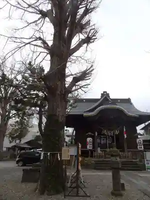 取手八坂神社の本殿・本堂