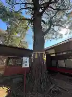 前原御嶽神社(千葉県)