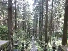 上色見熊野座神社の自然