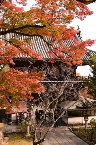 善峯寺(京都府)