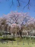 足羽神社の自然