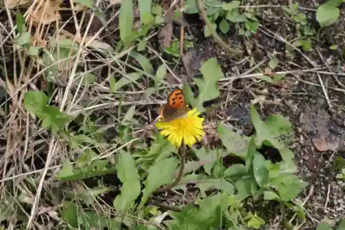 御嶽神社の自然