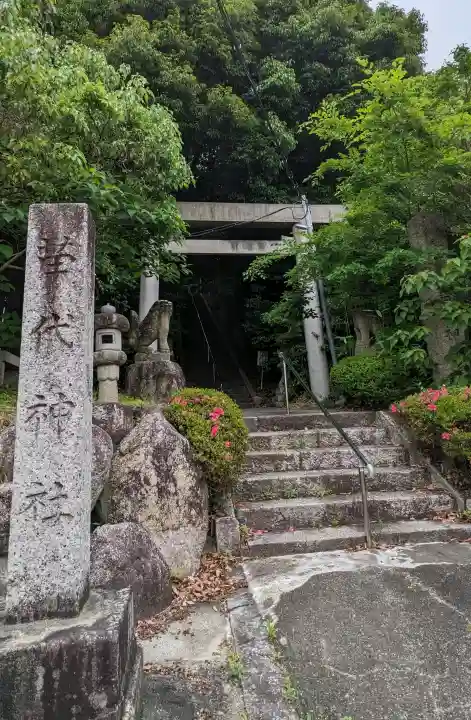 苗代神社の{uncategorized: "未分類", other: "その他", undefined: "問題あり", building: "その他建物", grave: "お墓", sacred_gate: "鳥居", guardian: "狛犬", statue: "像", buddha: "仏像", history: "歴史", nature: "自然", garden: "庭園", animal: "動物", pagoda: "塔", temizu: "手水舎", mountain_gate: "山門・神門", sanctuary: "本殿・本堂", subordinate: "末社・摂社", art: "芸術", scenery: "景色", jizo: "地蔵", ema: "絵馬", goshuin: "御朱印", omikuji: "おみくじ", items: "授与品その他", amulet: "お守り", goshuincho: "御朱印帳", eats: "食事", festival: "お祭り", votive_dance: "神楽", shichigosan: "七五三参", wedding: "結婚式", experience: "体験その他", initially: "初詣", around: "周辺", anti_infection: "感染症対策"}