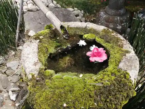 柳谷観音　楊谷寺の手水舎