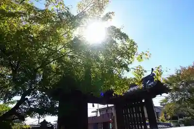 離宮八幡宮のその他建物