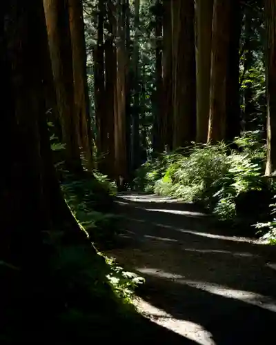 戸隠神社奥社(長野県)