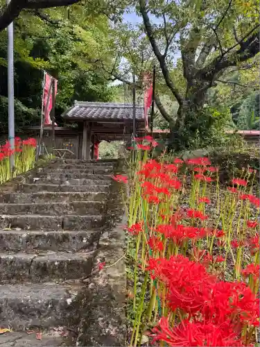 仏隆寺(奈良県)