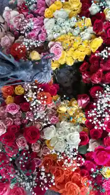 札幌諏訪神社の手水舎