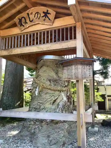 飛騨一宮水無神社の自然