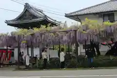 本覚寺の建物その他