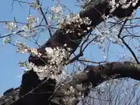 盛岩寺(神奈川県)