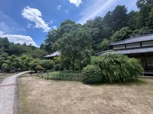 大野寺(奈良県)