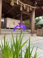 和泉國一之宮 大鳥大社の自然