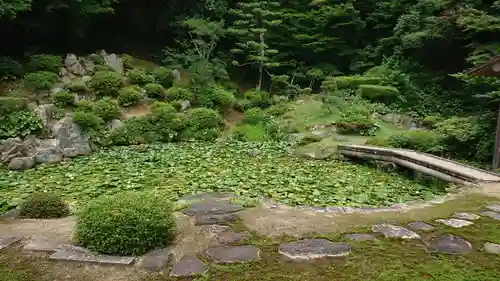 興禅寺の庭園