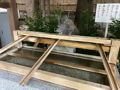 東京大神宮の手水舎