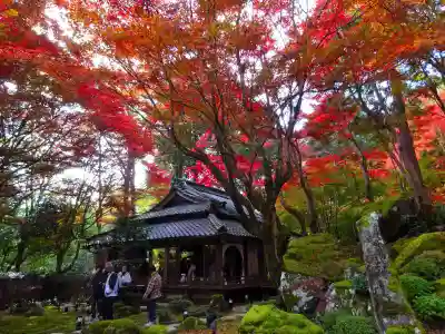 教林坊(滋賀県)