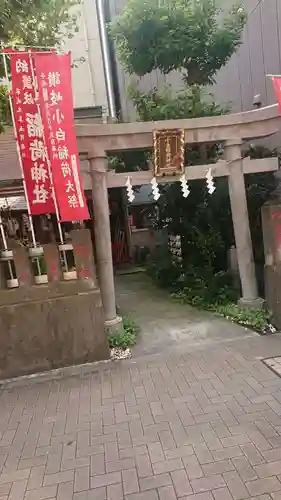 讃岐小白稲荷神社の鳥居