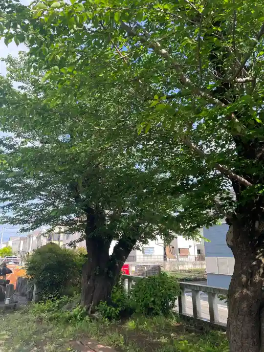 山王神社の{uncategorized: "未分類", other: "その他", undefined: "問題あり", building: "その他建物", grave: "お墓", sacred_gate: "鳥居", guardian: "狛犬", statue: "像", buddha: "仏像", history: "歴史", nature: "自然", garden: "庭園", animal: "動物", pagoda: "塔", temizu: "手水舎", mountain_gate: "山門・神門", sanctuary: "本殿・本堂", subordinate: "末社・摂社", art: "芸術", scenery: "景色", jizo: "地蔵", ema: "絵馬", goshuin: "御朱印", omikuji: "おみくじ", items: "授与品その他", amulet: "お守り", goshuincho: "御朱印帳", eats: "食事", festival: "お祭り", votive_dance: "神楽", shichigosan: "七五三参", wedding: "結婚式", experience: "体験その他", initially: "初詣", around: "周辺", anti_infection: "感染症対策"}