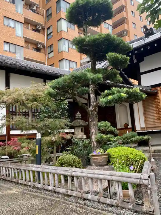 乗願寺(京都府)