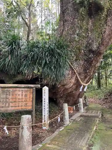 田ノ上八幡神社(宮崎県)