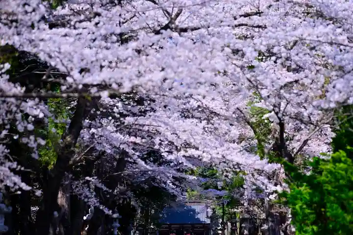 冨士御室浅間神社(山梨県)