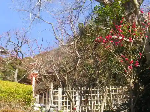 荏柄天神社の庭園