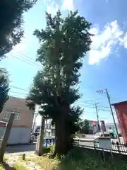 母衣輪神社(栃木県)