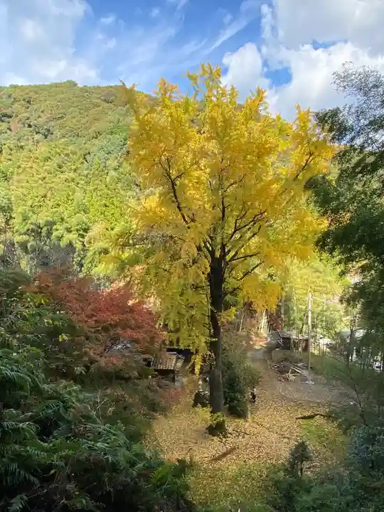 康平寺(熊本県)