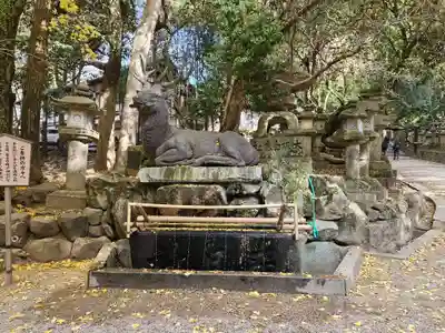 春日大社(奈良県)