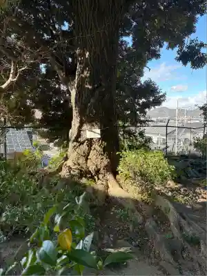 輝東寺(愛知県)