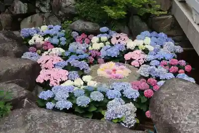 岡寺(龍蓋寺)(奈良県)