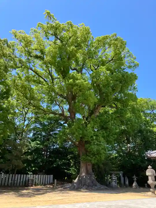 高良神社(香川県)