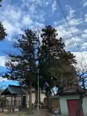 諏訪神社(福島県)