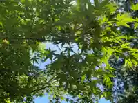 安養寺(静岡県)