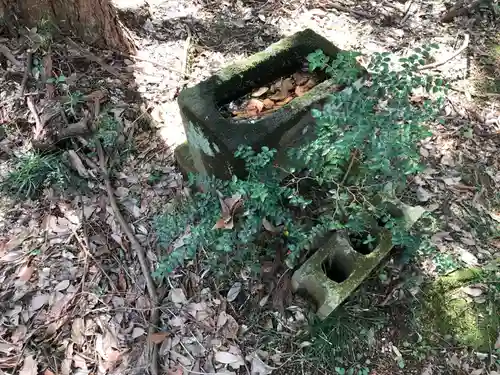 高根神社の自然