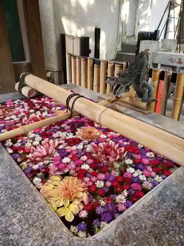 高円寺氷川神社の手水