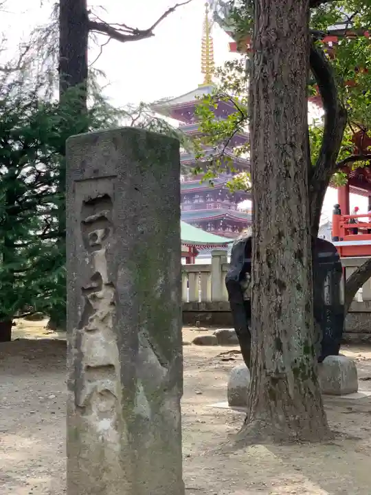 浅草神社のその他建物