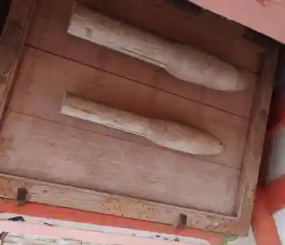 柞原八幡宮(大分県)