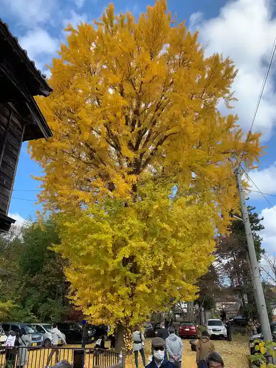 彌彦神社の自然