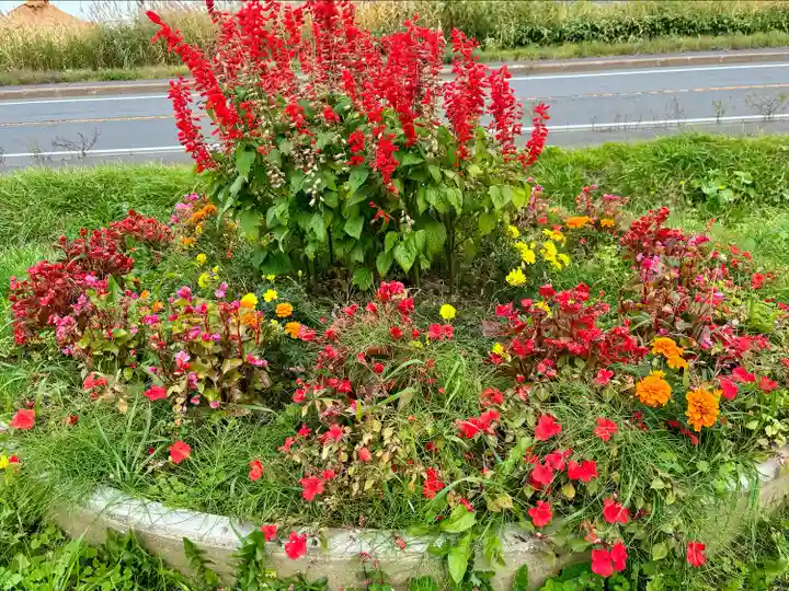 中小屋神社の自然
