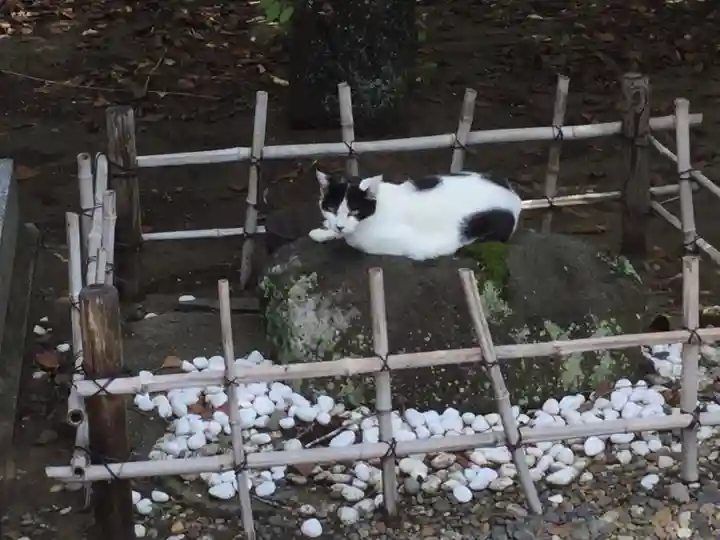 鎌数伊勢大神宮の動物